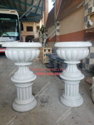Chậu Hoa Đá 20