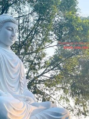 Tượng Phật Thích Ca Bằng Đá 77